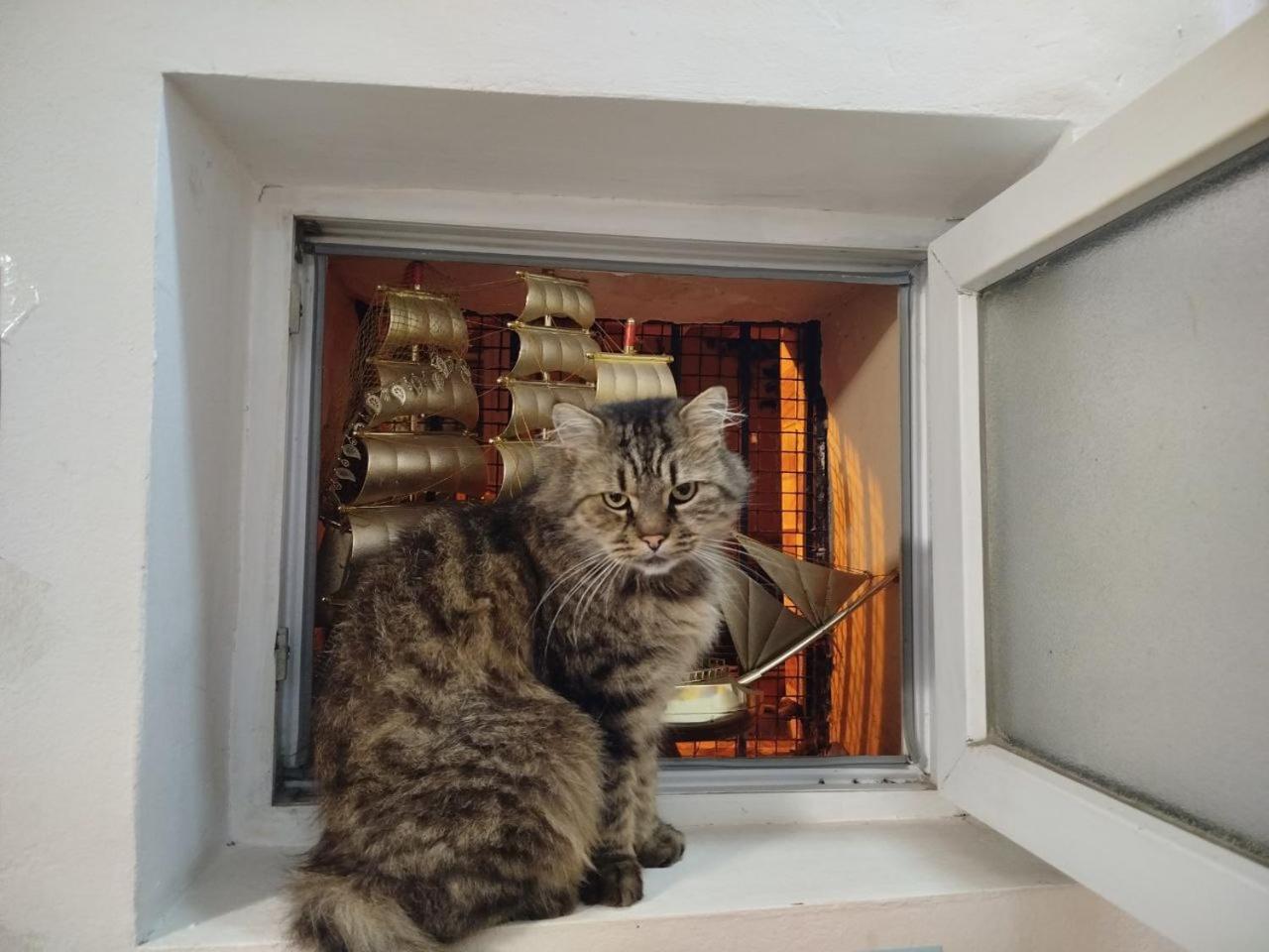 Harmony Backpackers Hostel, Batumi