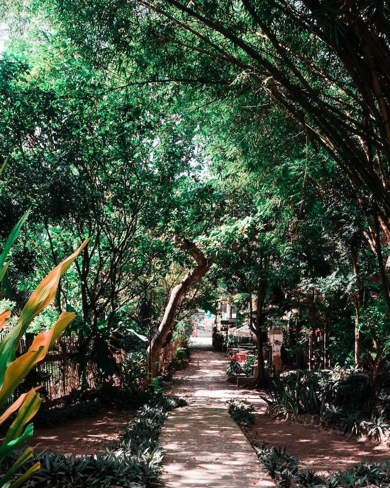 Oasis Balili Heritage Lodge, Bohol Island