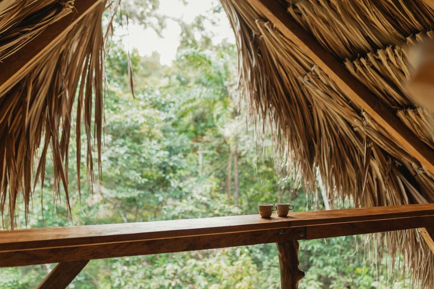 La Ponderosa Reserve, Buritaca