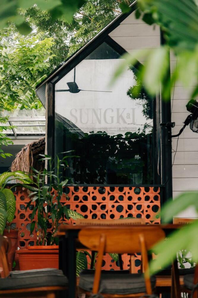 The Jungle Hostel
