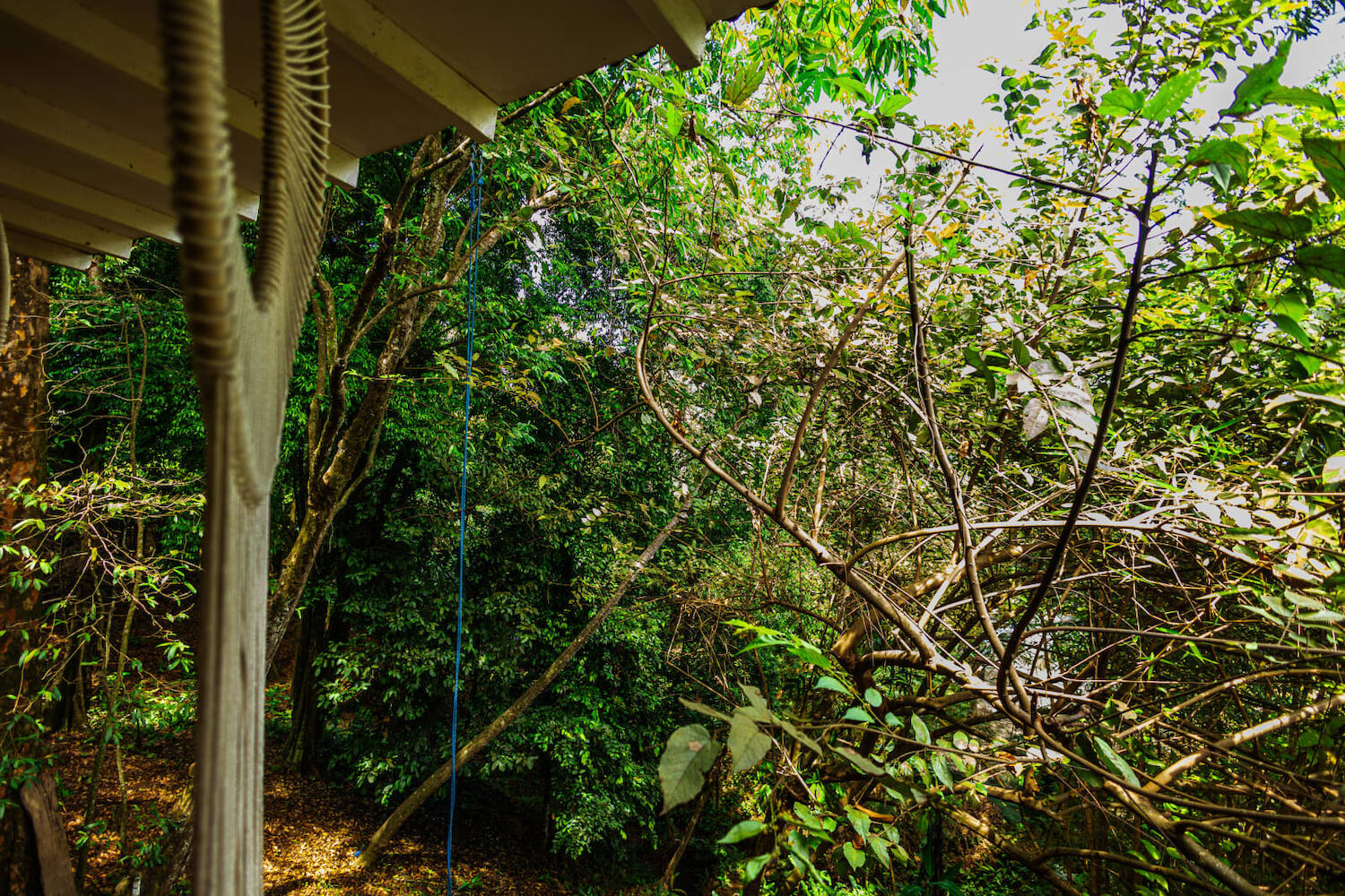 Hostel Manuel Antonio Park Jungle