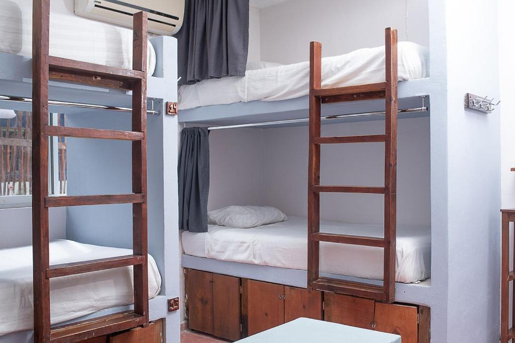 Mapache Hostel, Isla Holbox