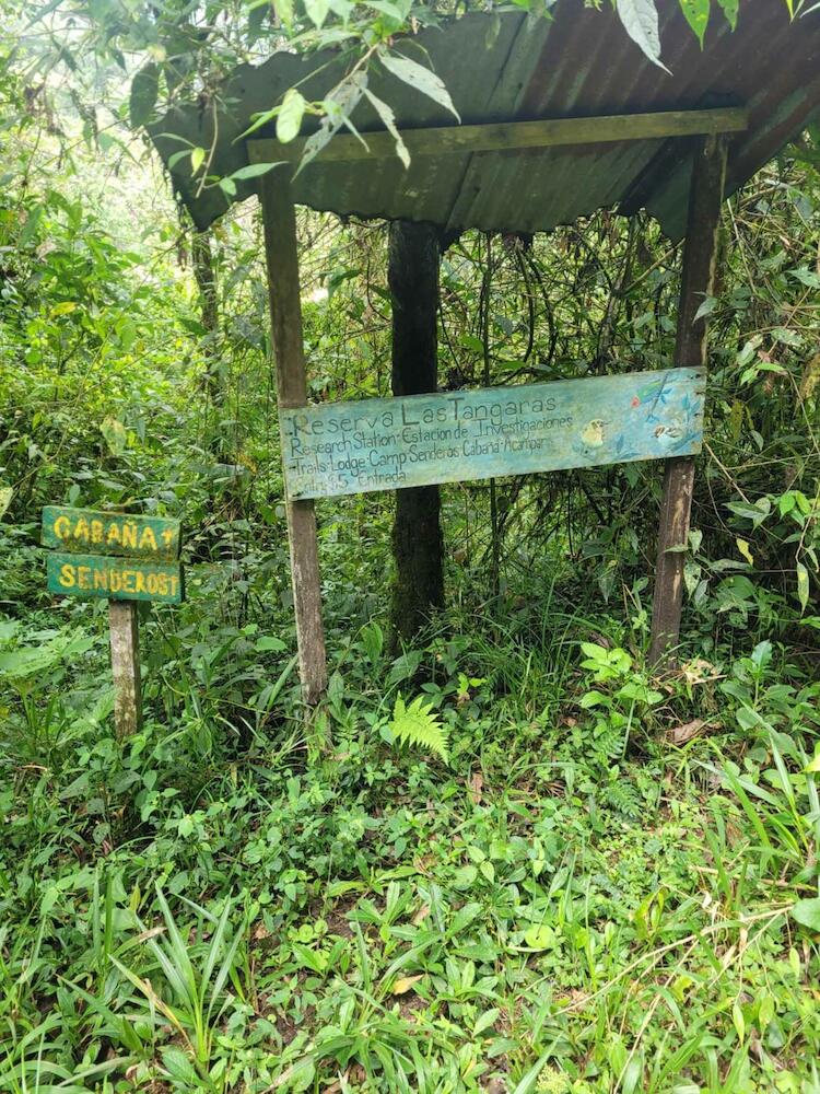 Reserva Las Tangaras, Mindo