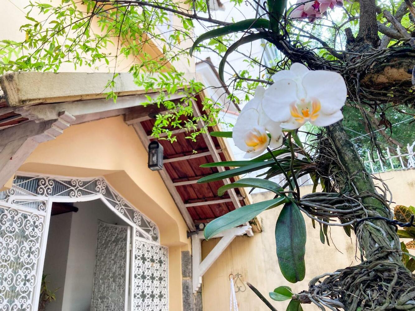 Chez Zany - Copacabana, Rio de Janeiro