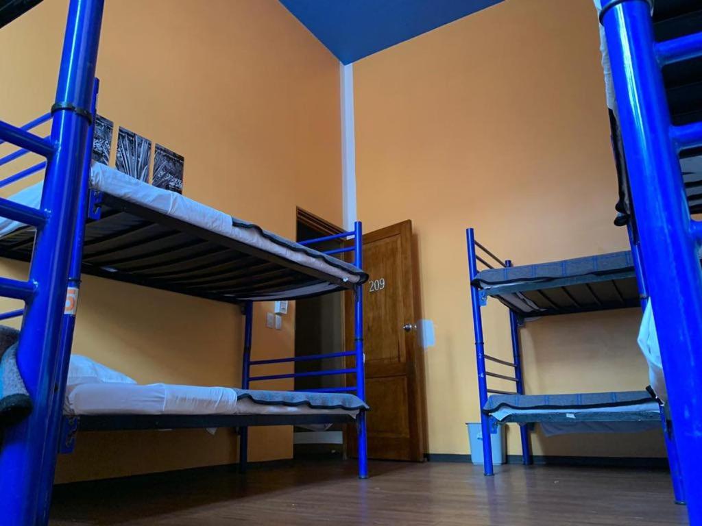 Hostel Amigo