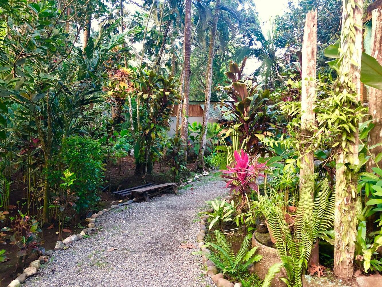 Tasty Dayz Hostel, Puerto Viejo de Talamanca