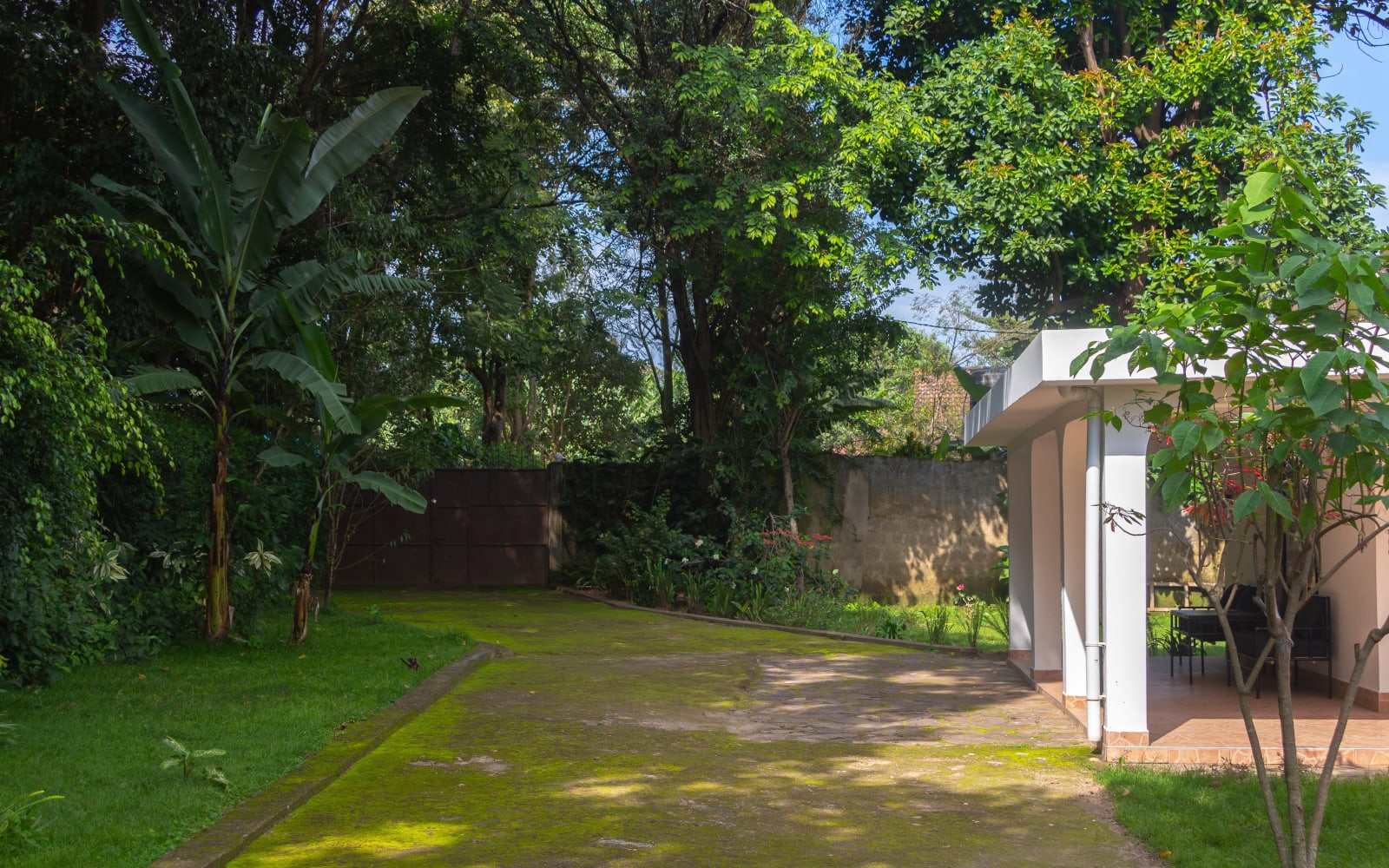 The House of Black & White, Arusha
