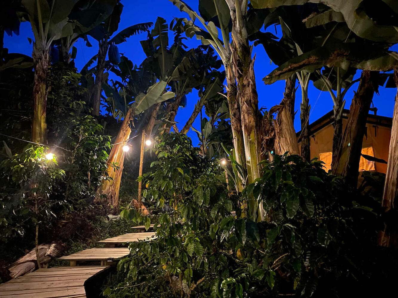 Glamping Jardín