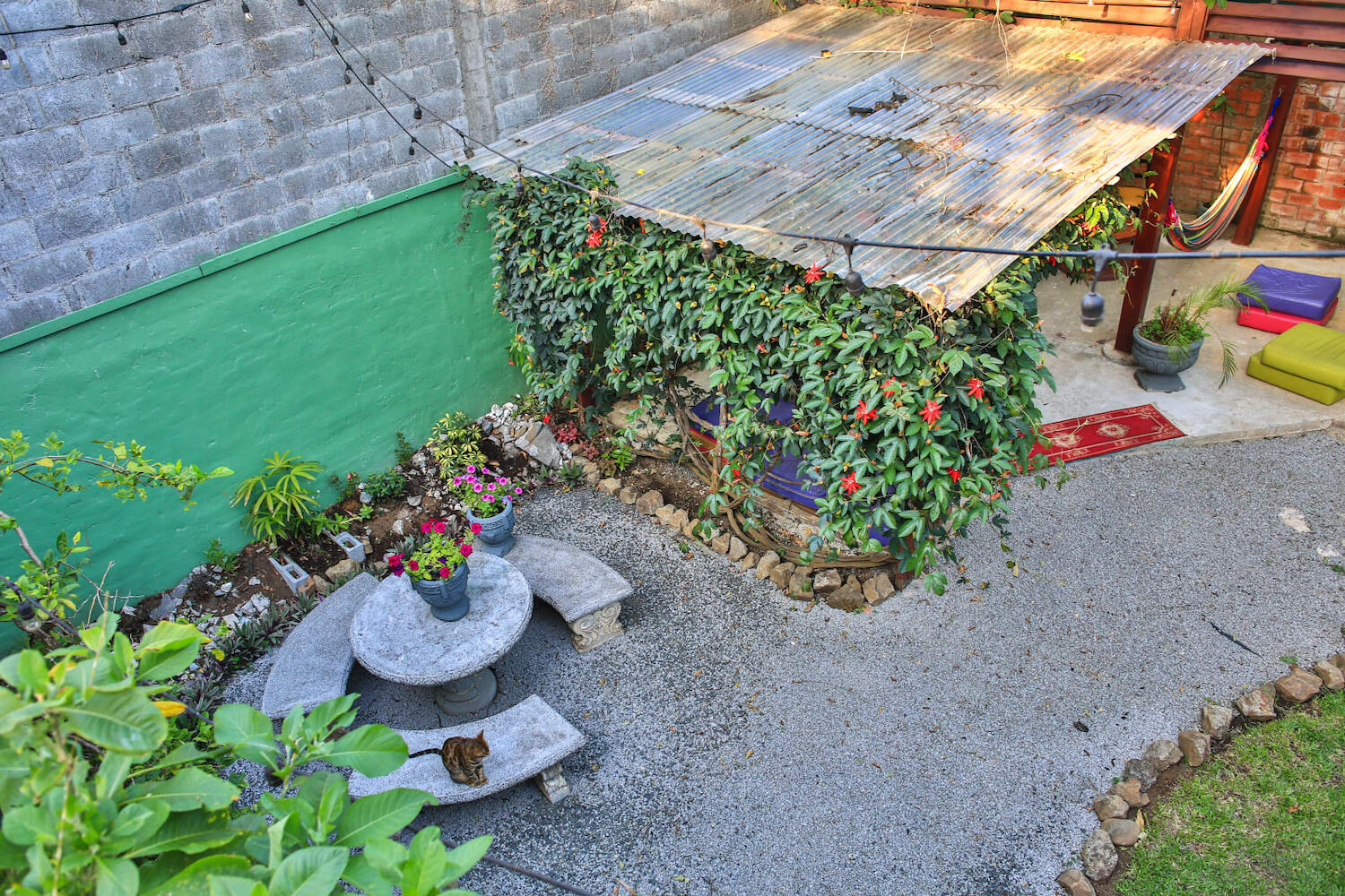 Mangifera Hostel, Alajuela