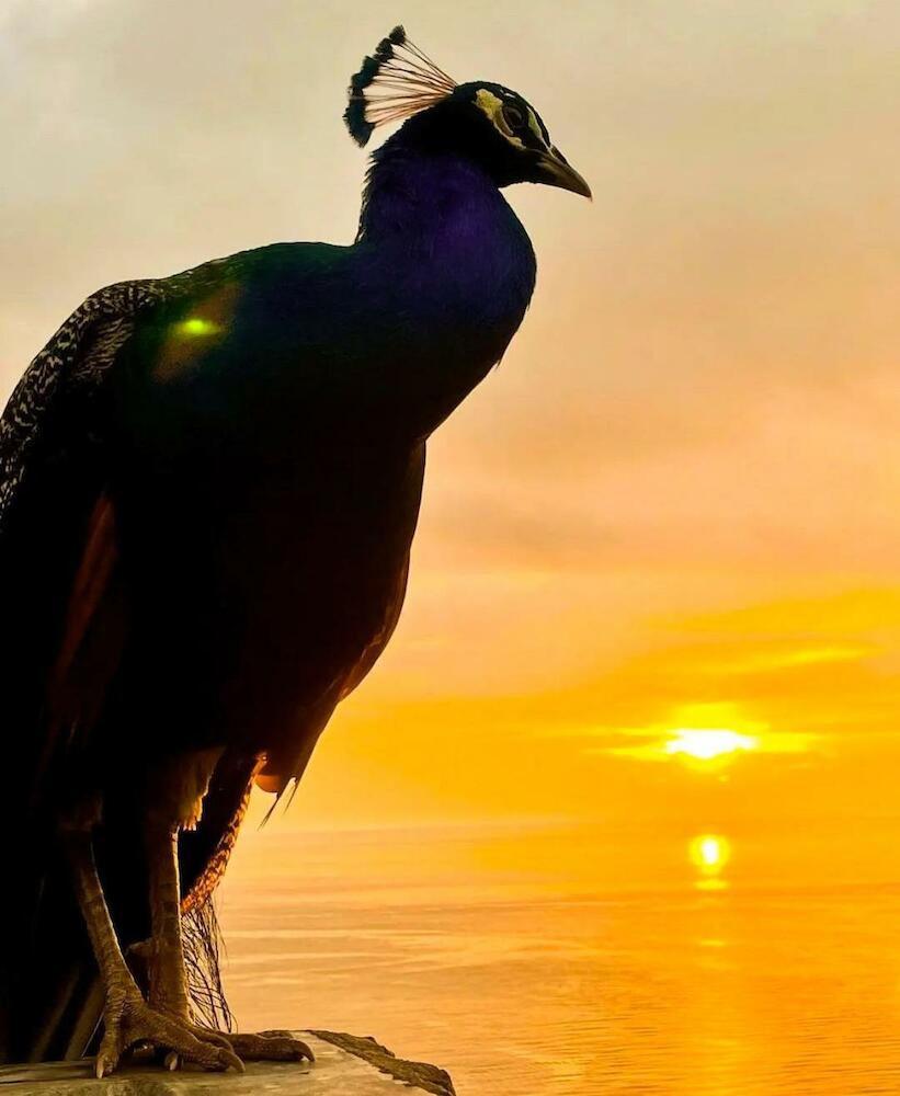 Hostel TNT Mirador, Taganga