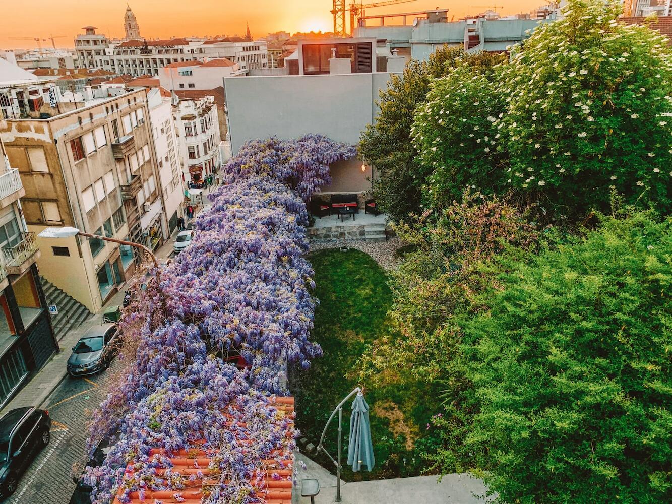 Urban Garden Porto Central Hostel, Porto