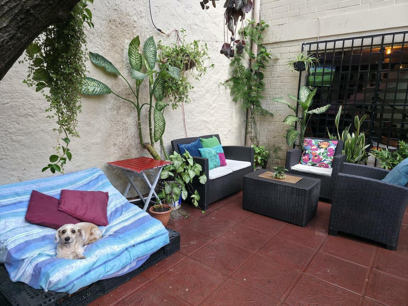 Pool House Hostel, Santa Ana