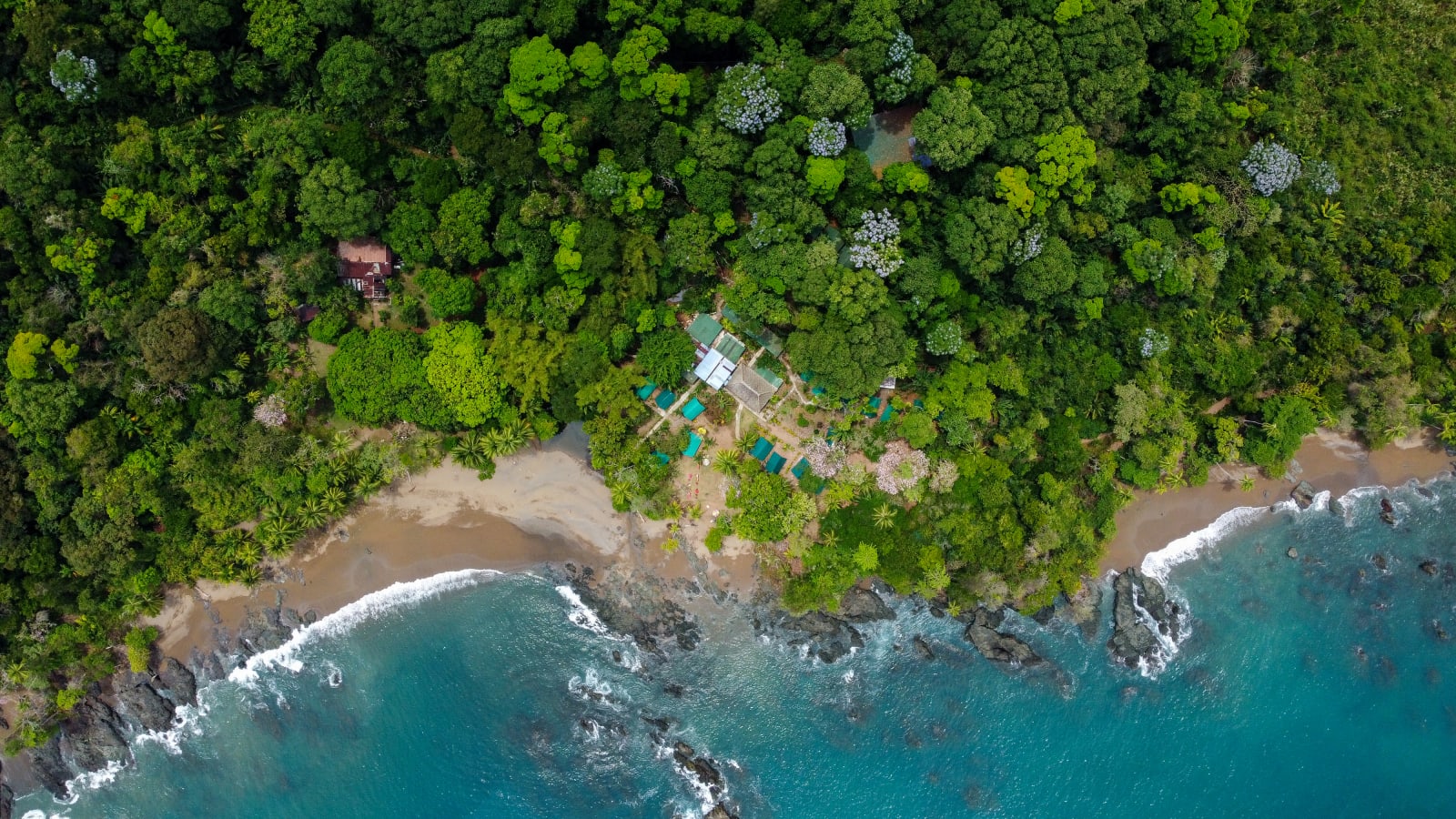 Corcovado Jungle Hostel, Bahía Drake