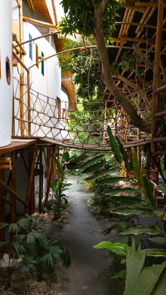 Kanta Sana, Palomino