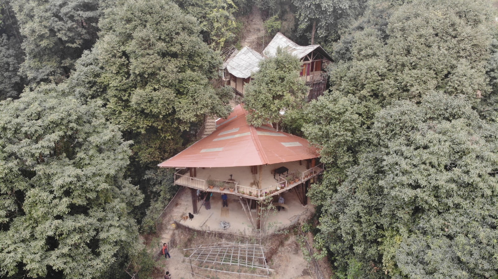 Tieedi Forest Garden