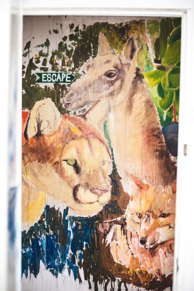 Refugio Hoshken, Puerto Natales