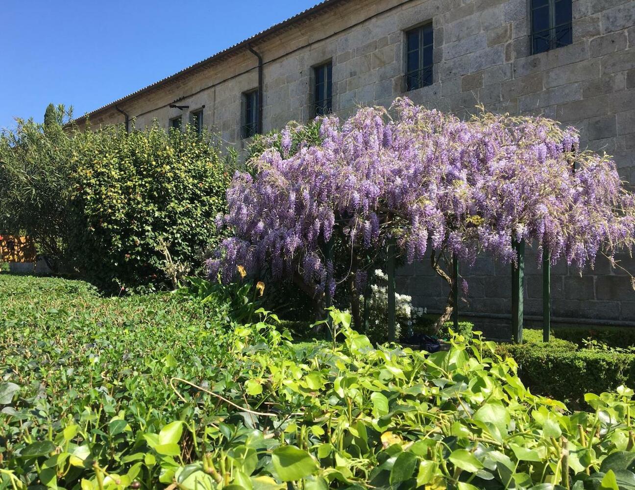 Albergue Convento Del Camino, Tui