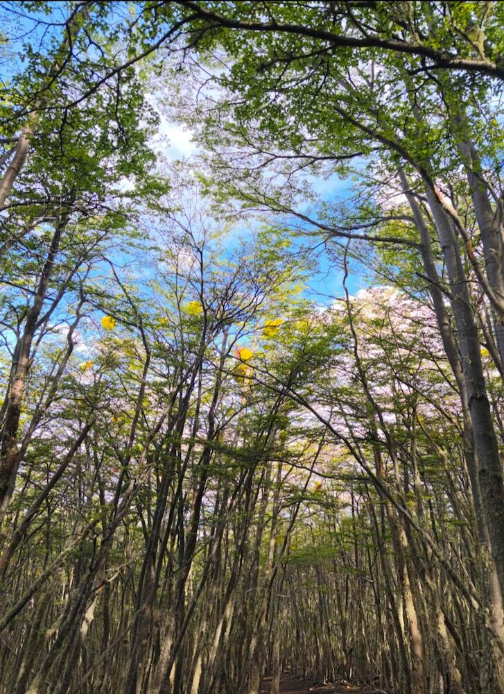 World's End Hostal, Puerto Natales