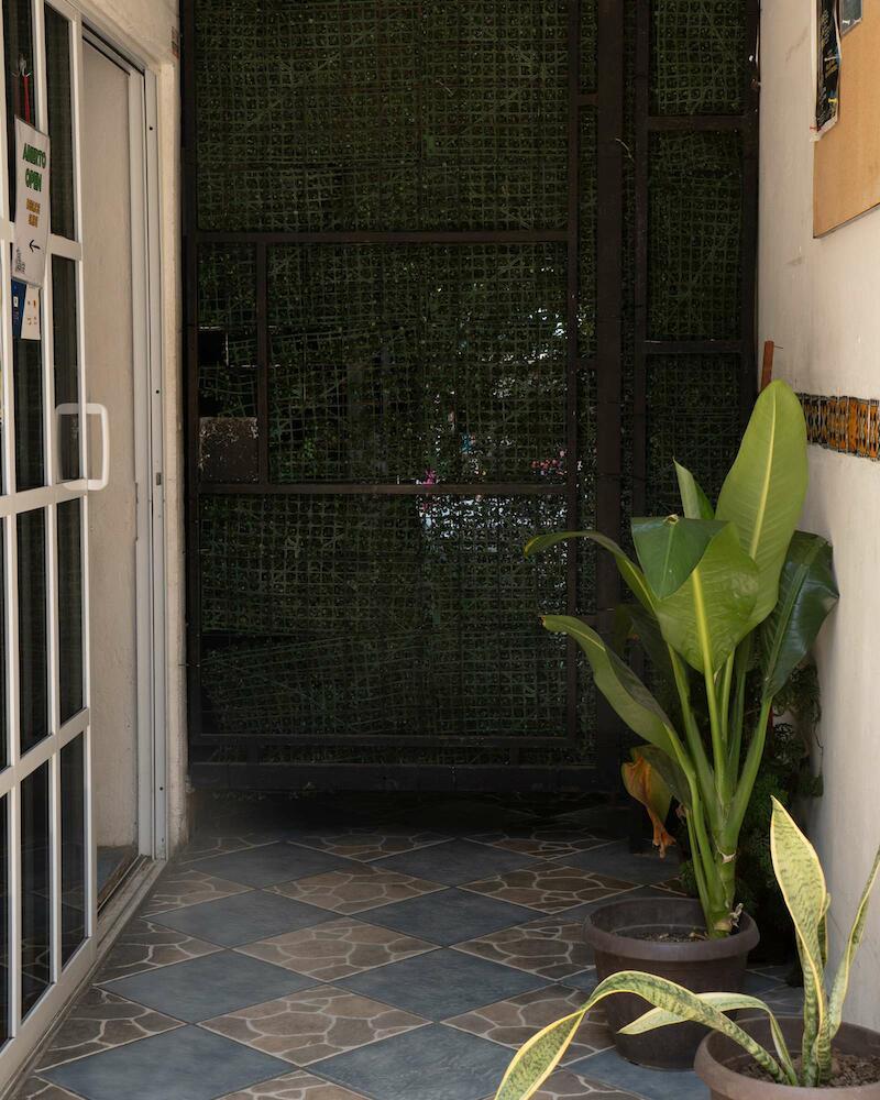Chante, Puerto Escondido