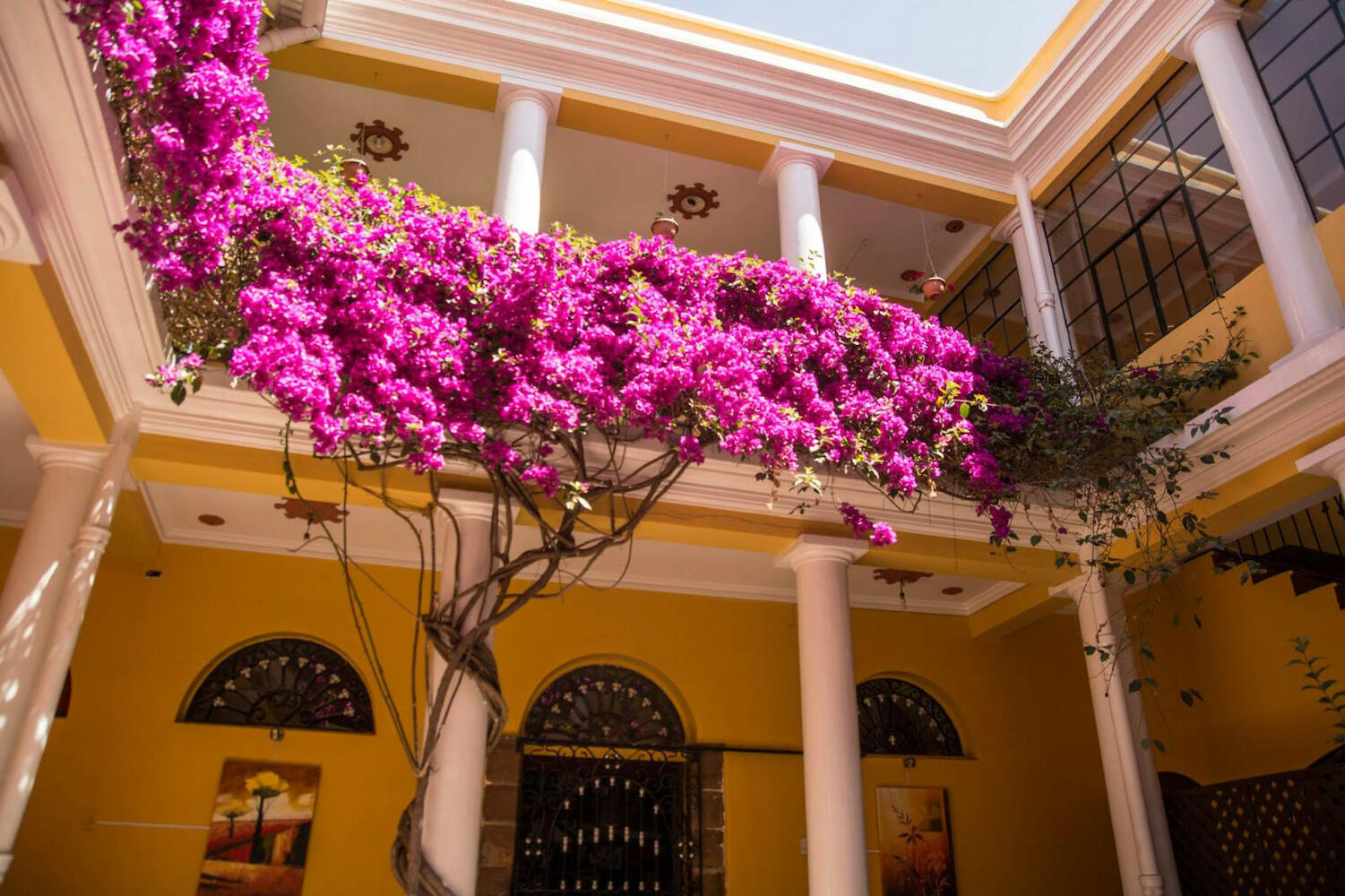Colors House Hostal