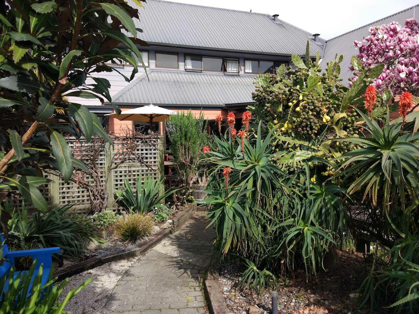 Tasman Bay Backpackers, Nelson