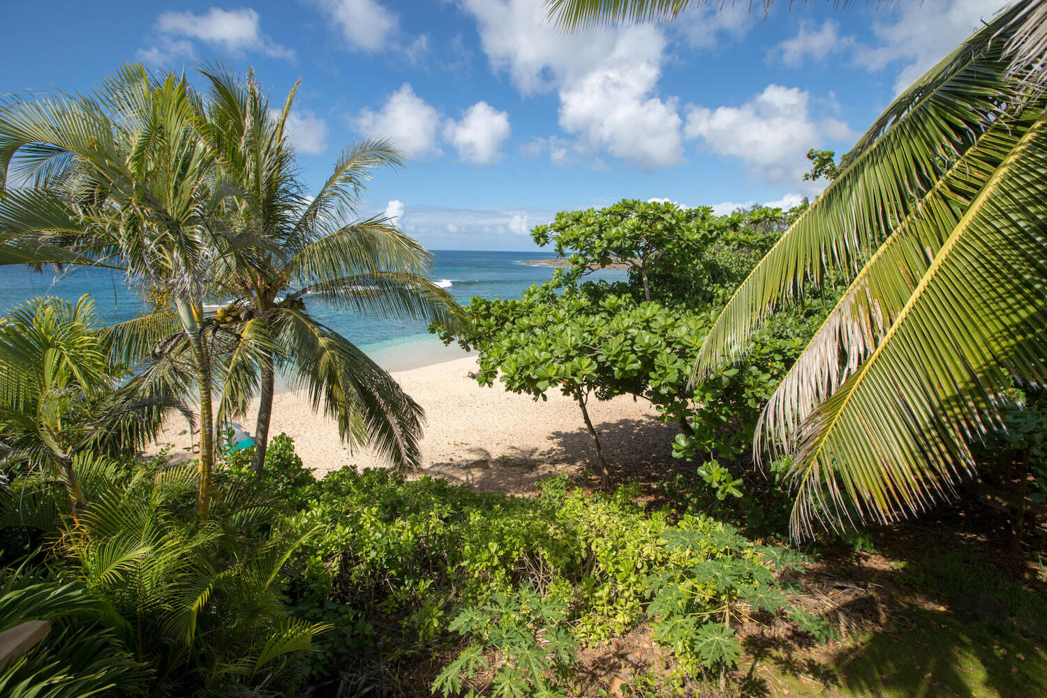 Backpackers Vacation Inn Plantation Village in Oahu Prices 2021