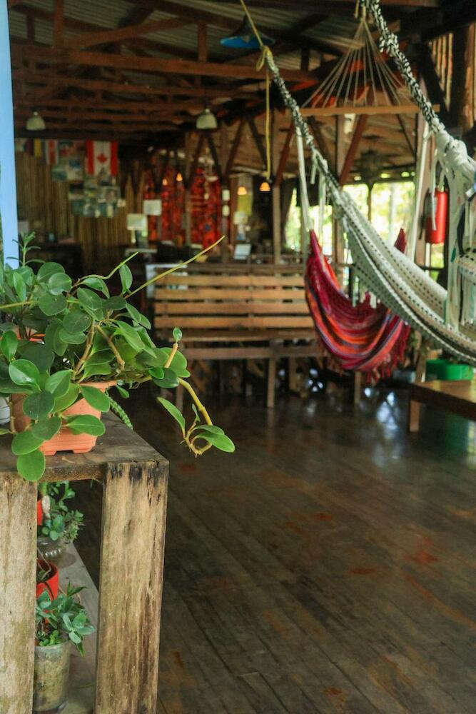 Hostel Plinio