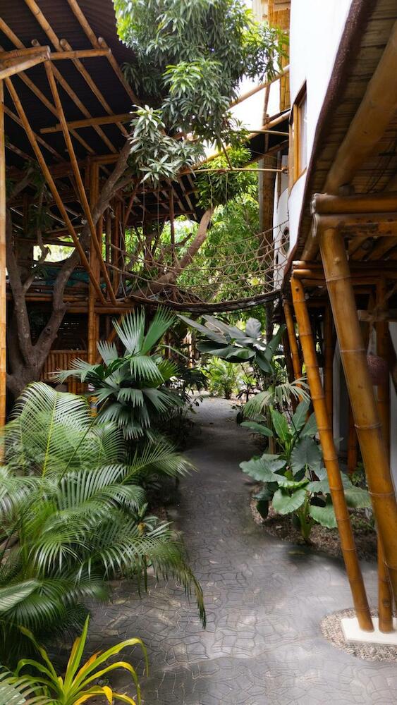 Kanta Sana, Palomino