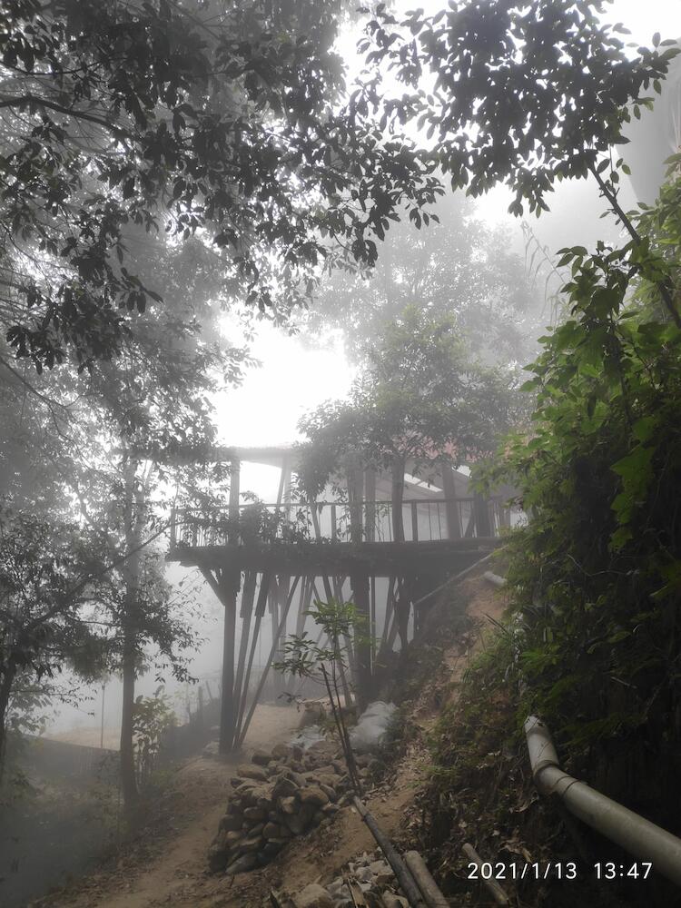 Tieedi Forest Garden