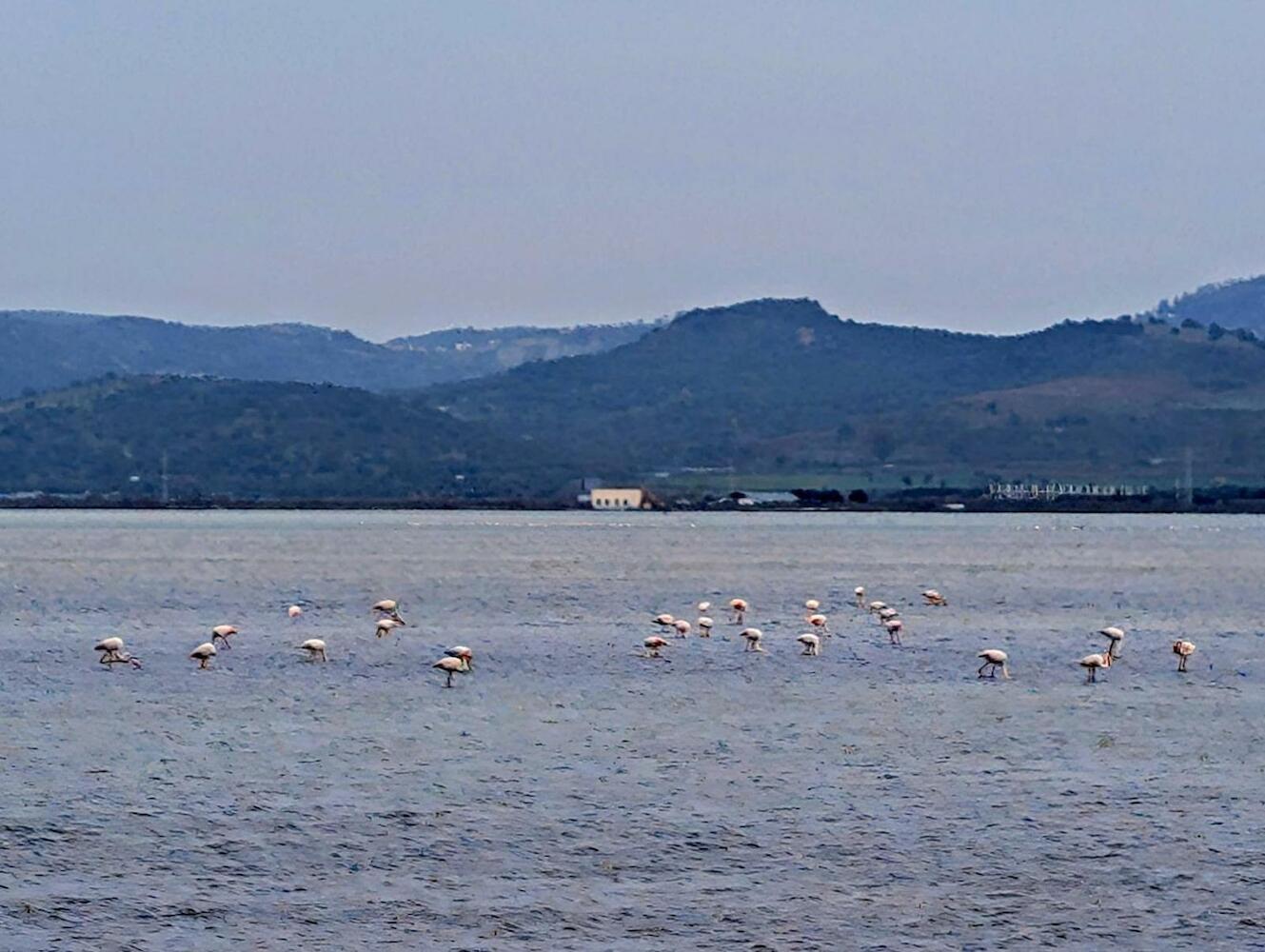 Adriatic Hostel Vlora, Vlorë