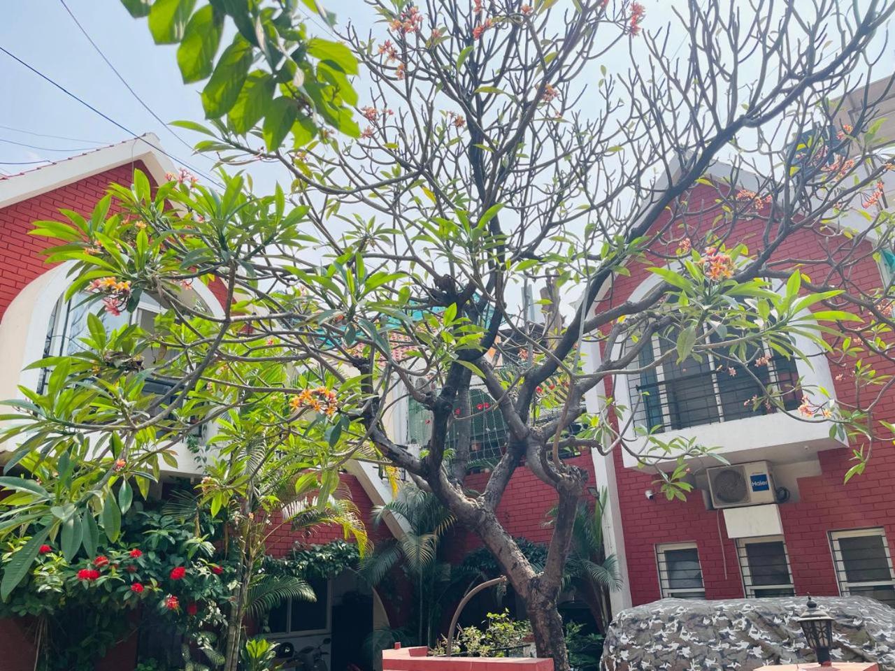 Hostel Livhub- Perfect Stay For Working Professionals In Viman Nagar