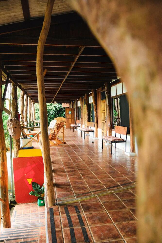Hostel Plinio