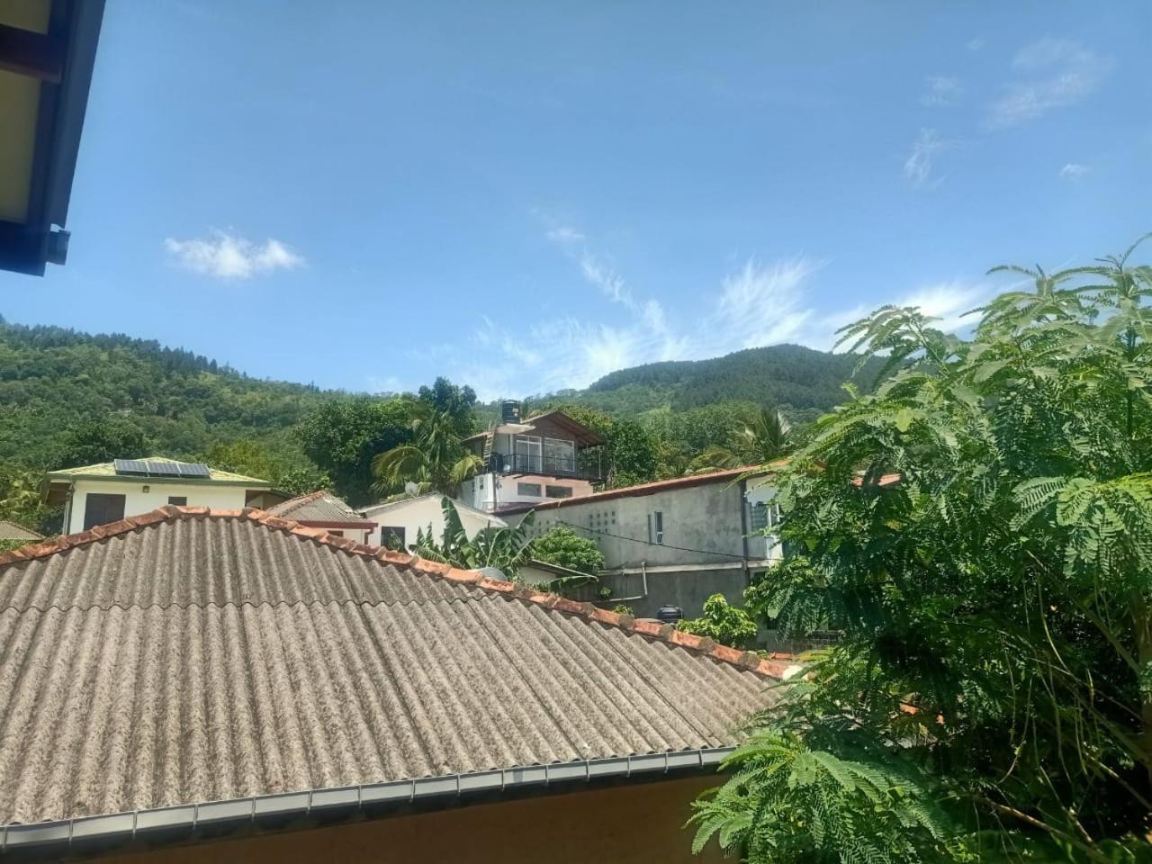 Diamond Shine, Kandy