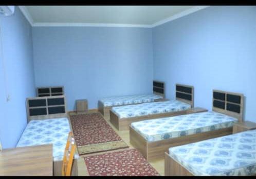 ALI HOSTEL