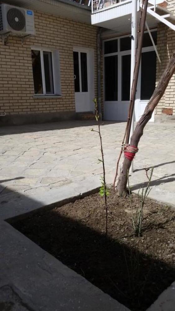 Hostel Payraviy Guest House, Bukhara