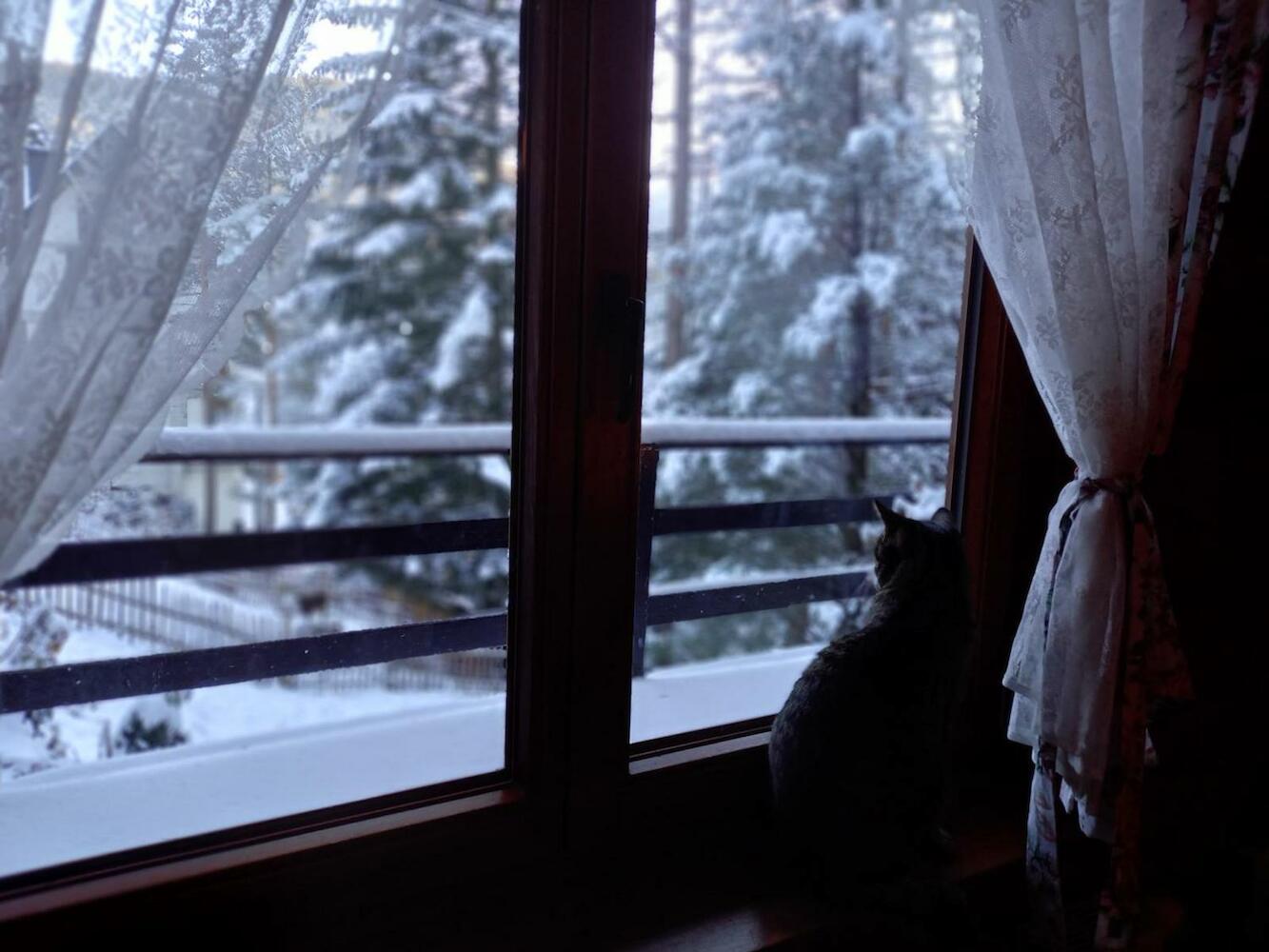 Good Bye Lenin Hostel - Zakopane, Zakopane