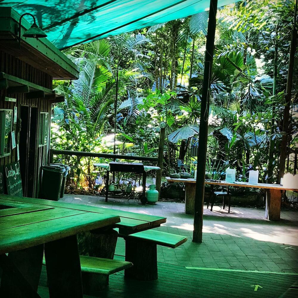 Where to stay in Cape Tribulation on a budget Where to stay in Cape Tribulation on a budget