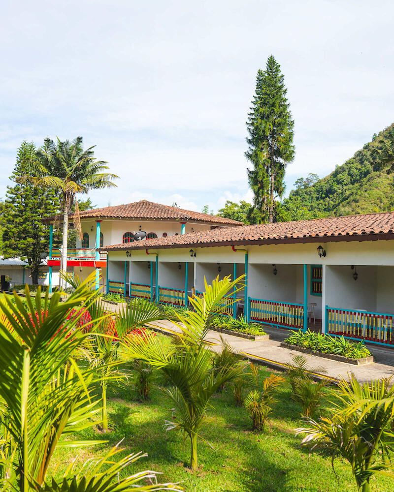 Dreamer Cocora, Salento