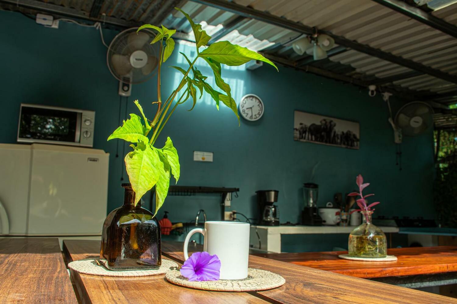 The Backside House, Tamarindo