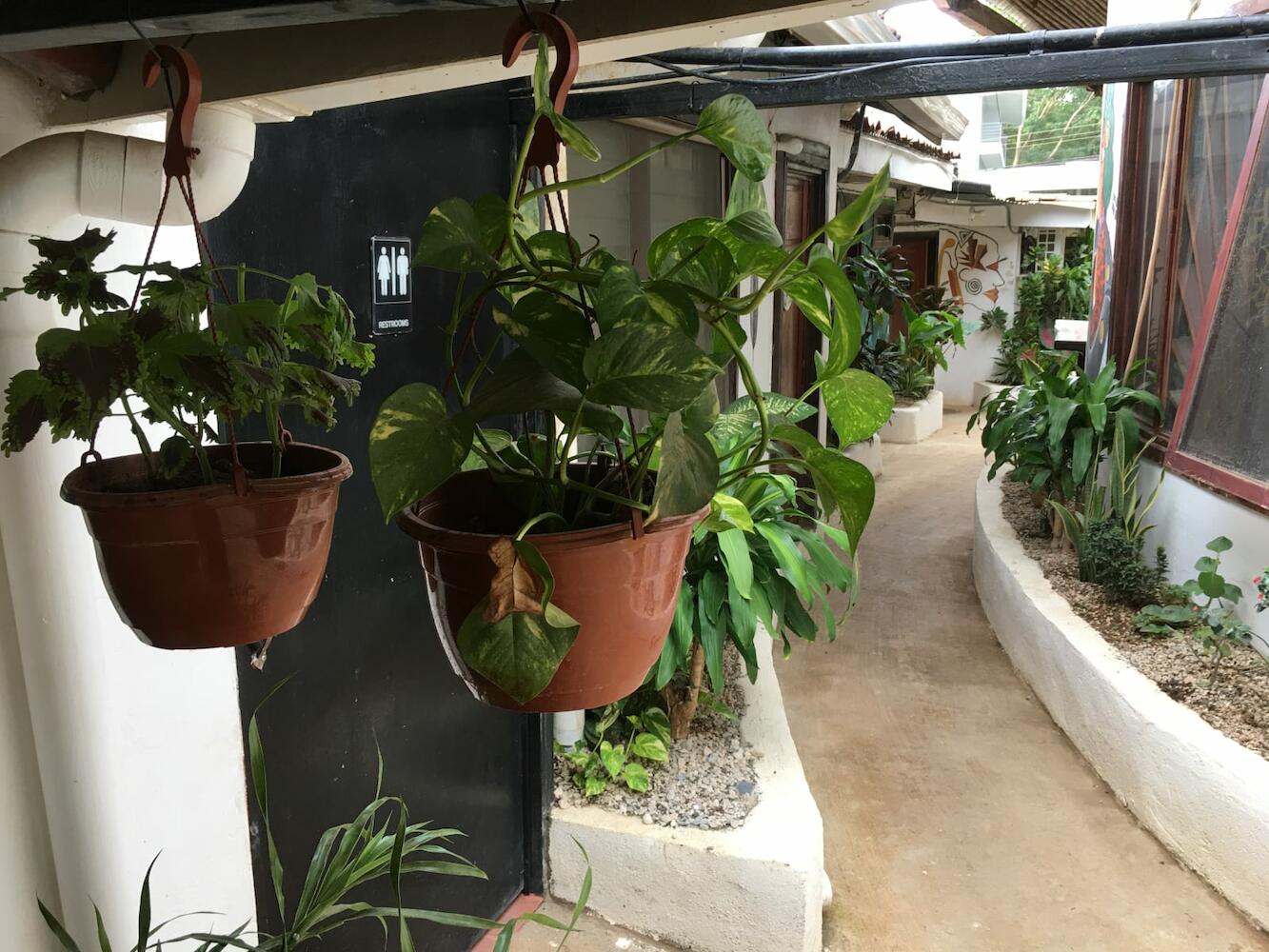 Pura Vida Hostel, Tamarindo