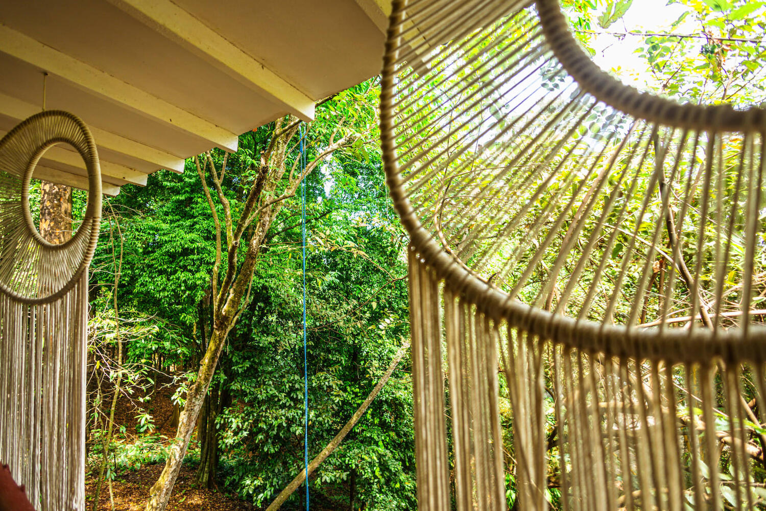 Hostel Manuel Antonio Park Jungle