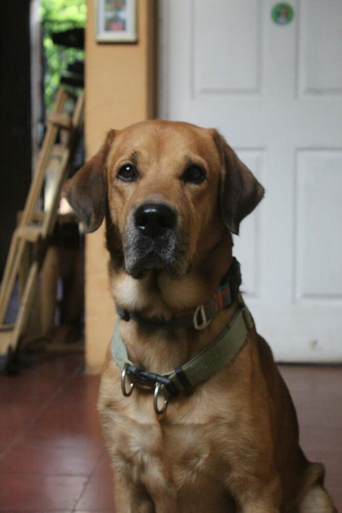 Hostel Zwiebel, Santa Ana