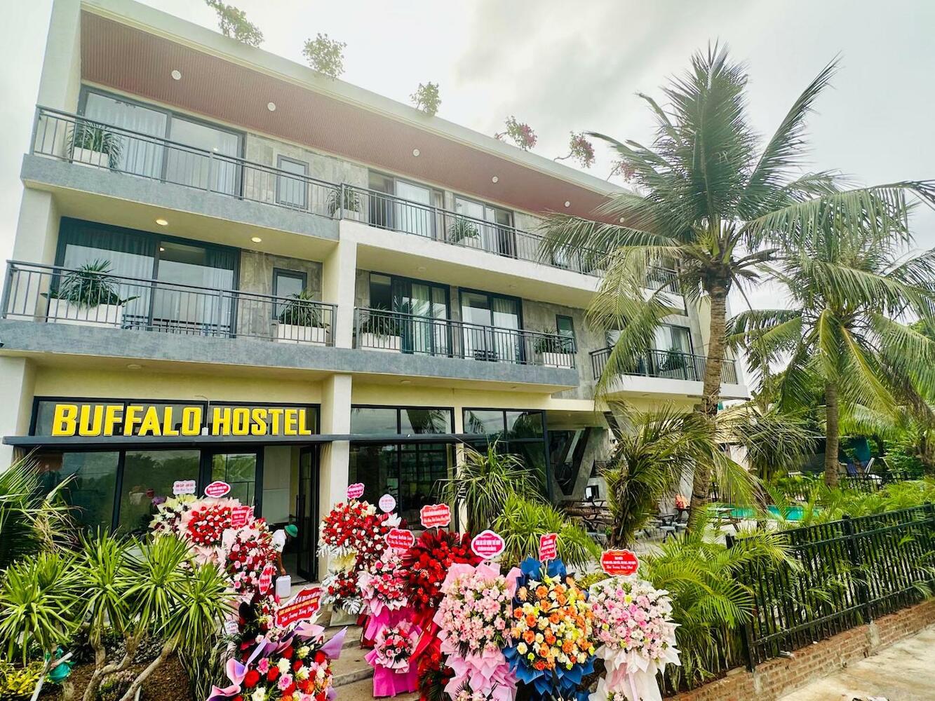 Ninhbinh Buffalo Hostel
