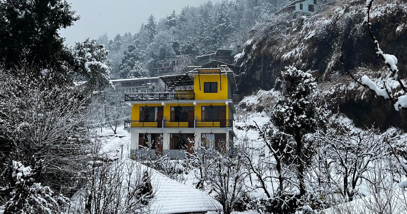 Firefly Hostel, Manali