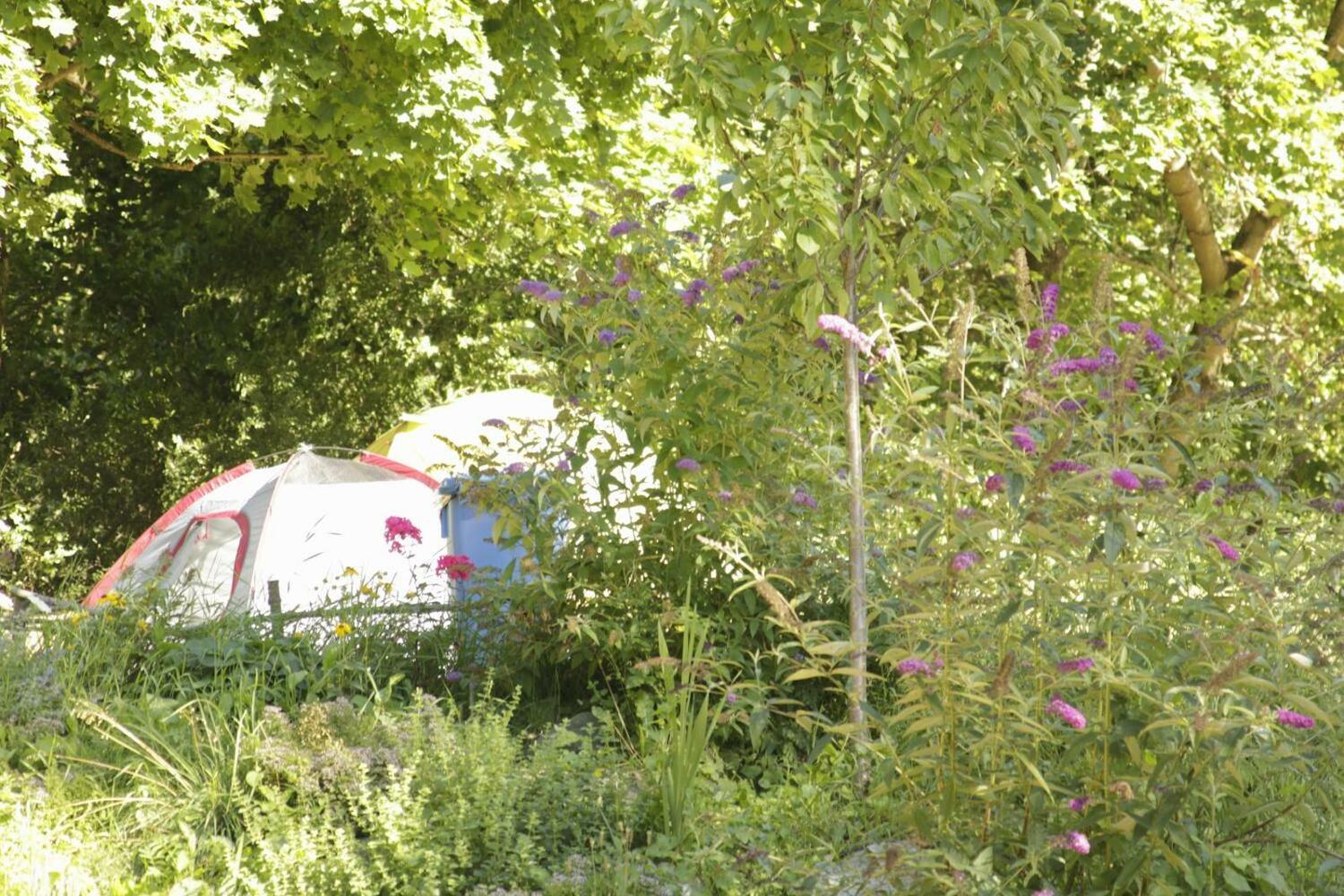 THE TENT - Youth Only - Buchung leider nur bis 30 Jahre möglich!
