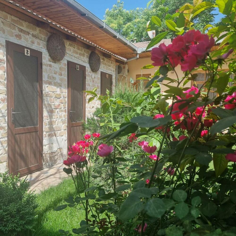 Backpackers House, Samarkand