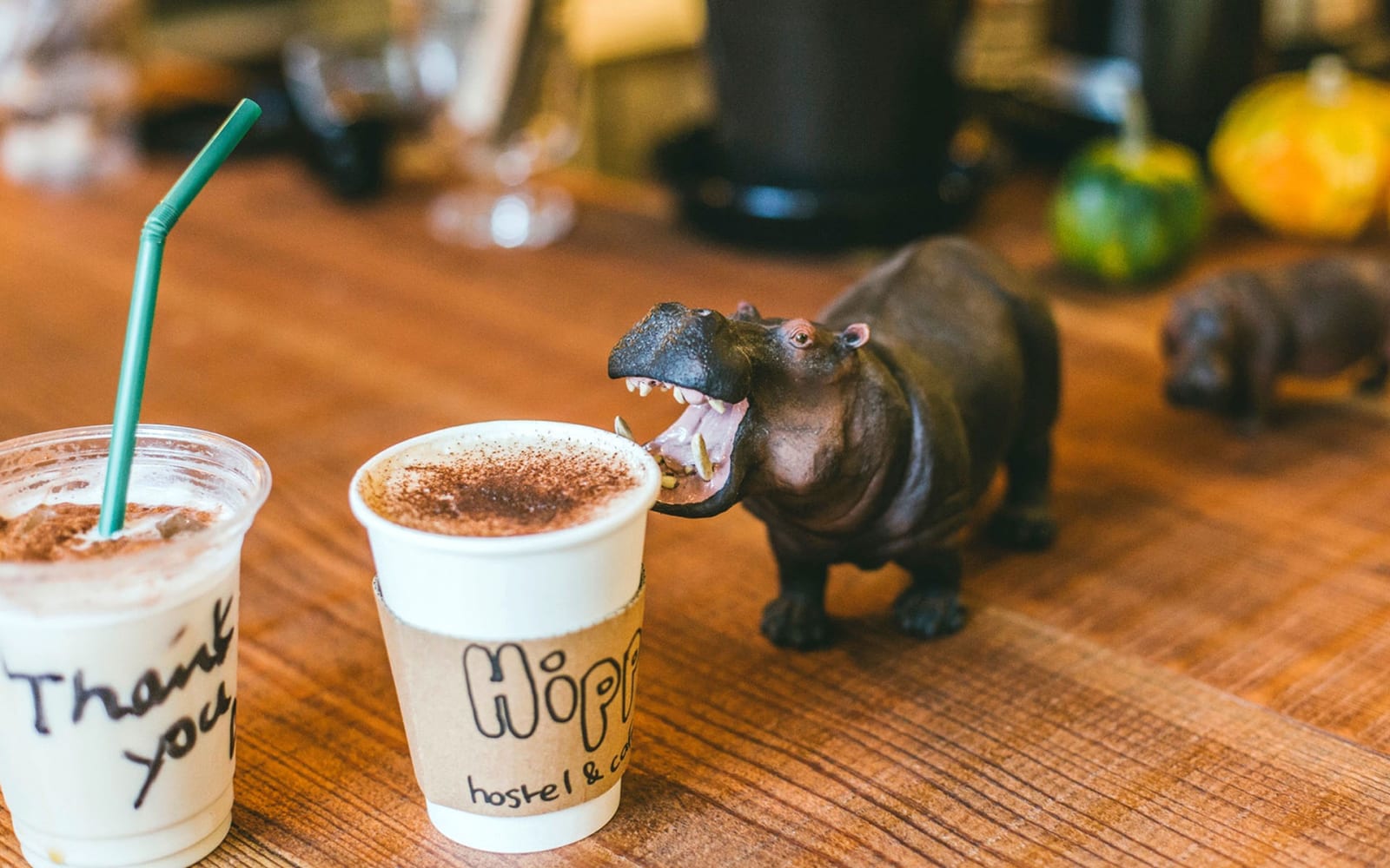 Hippo Hostel & Cafe Bar, Osaka