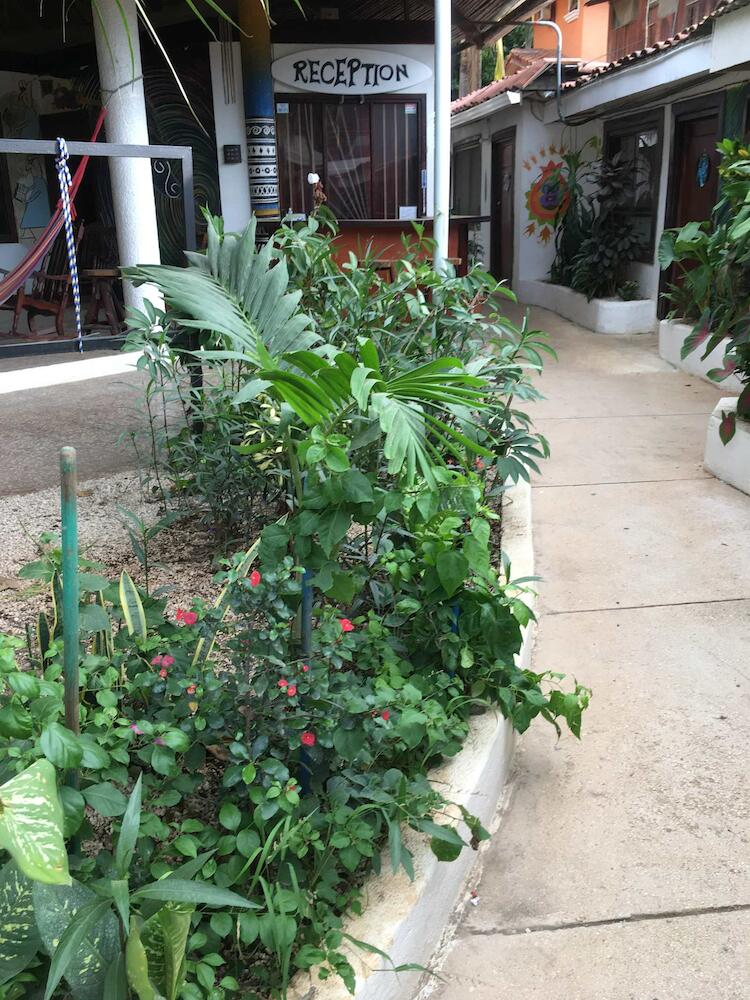 Pura Vida Hostel, Tamarindo