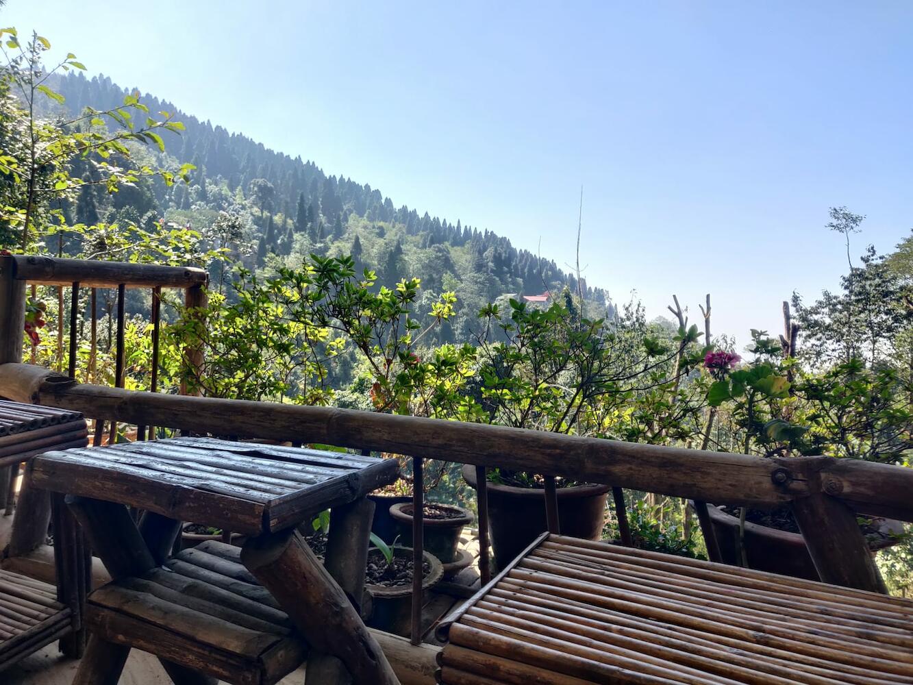 Tieedi Forest Garden