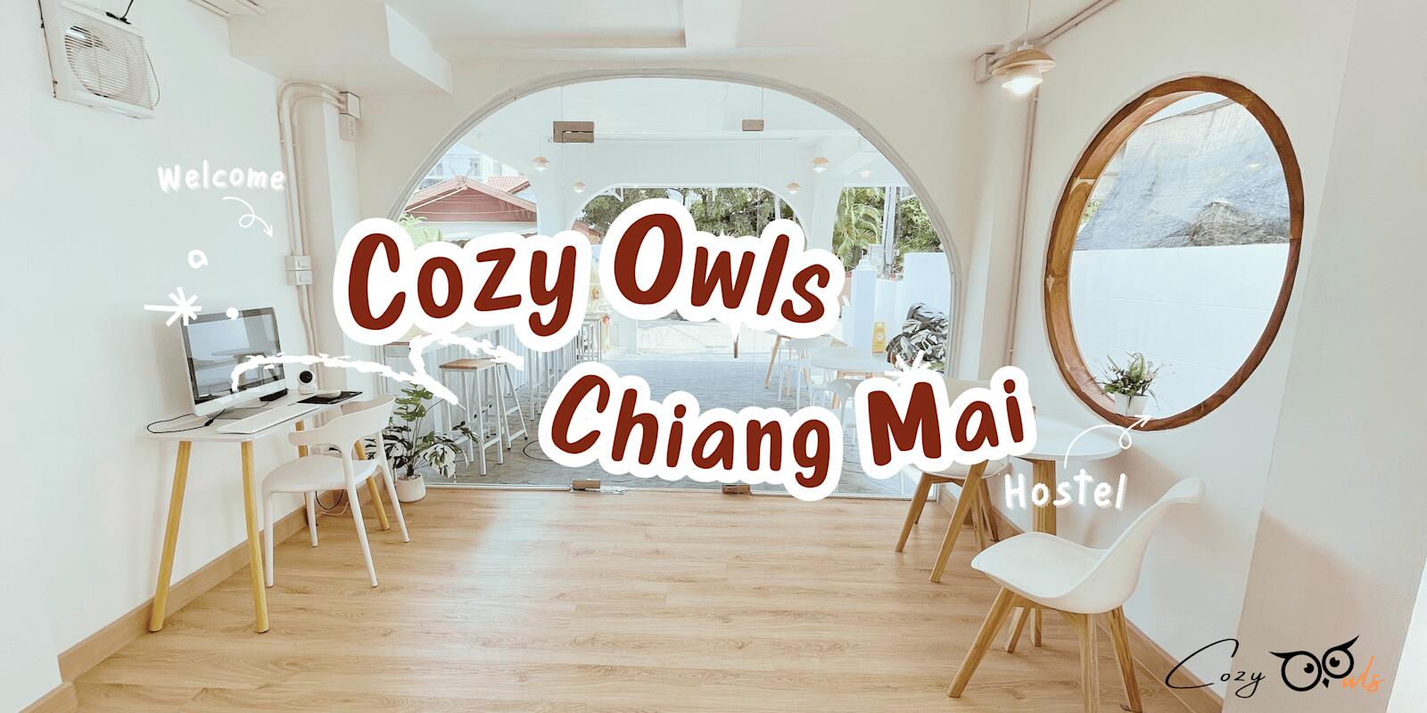 Cozy Owls